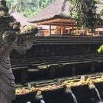 ubud gezilecek yerler7