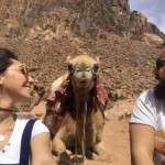 wadi rum deve turu