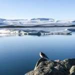 güney izlandada gezilecek yerler (2)